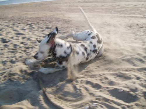 Sandbad